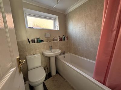 Picture 11